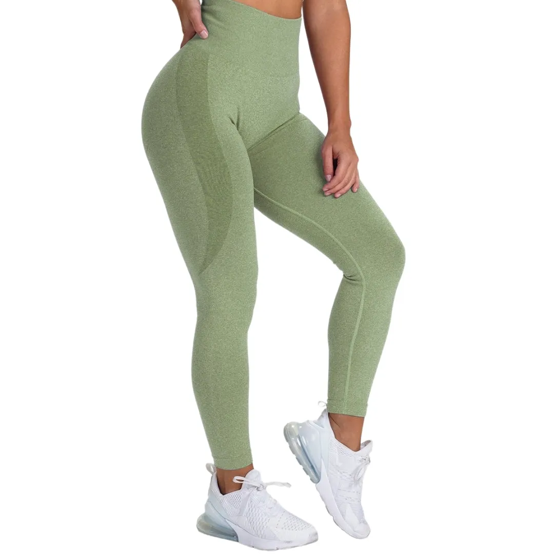 Anissa Contour Workout Leggings