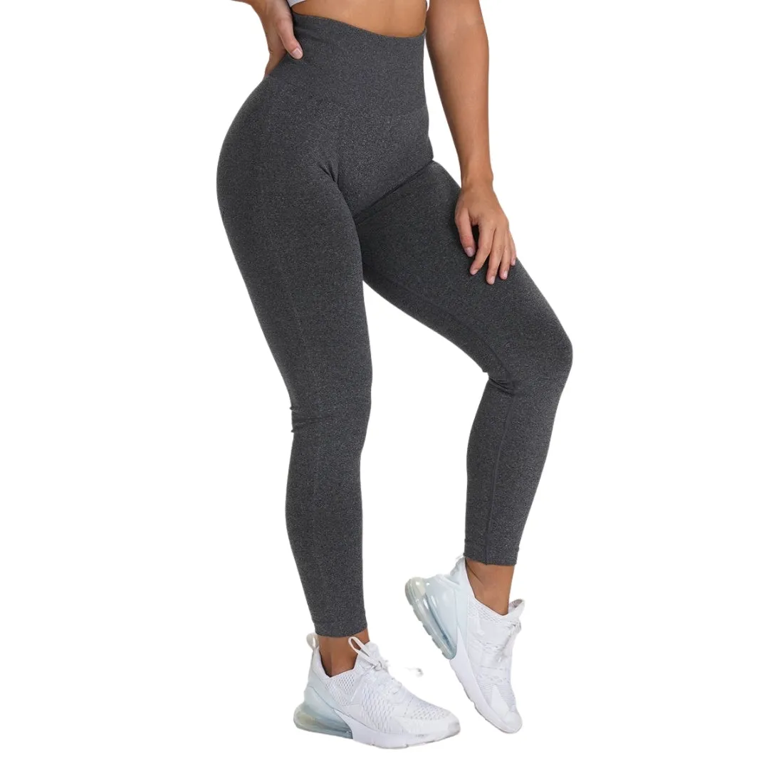 Anissa Contour Workout Leggings